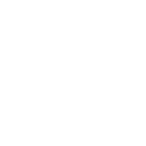 The Savvy Life Collective Logo