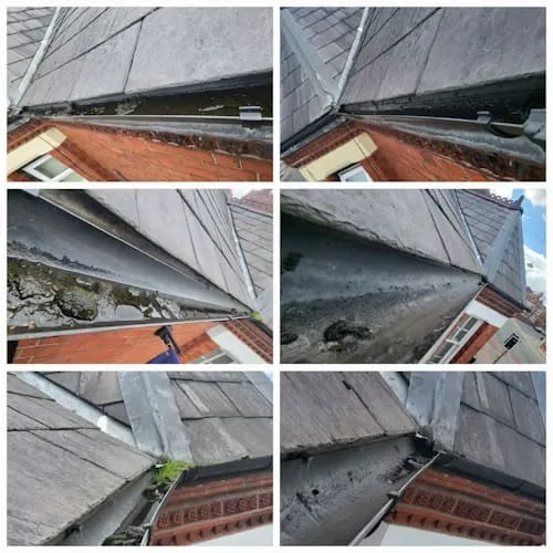 Willaston Driveway & Patio Cleaning