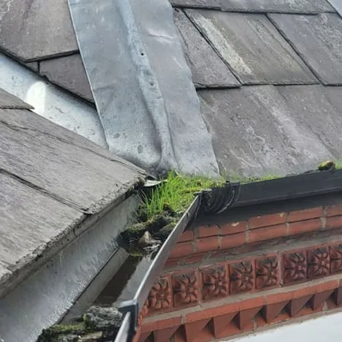 Haslington Gutter Cleaning