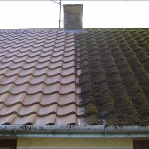 Willaston Roof Cleaning & Moss Removal