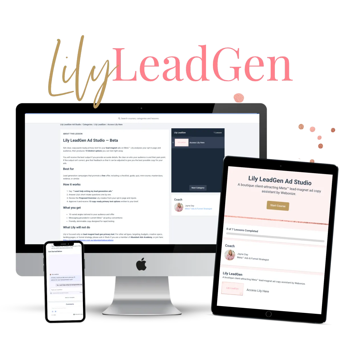Lily LeadGen Mockup