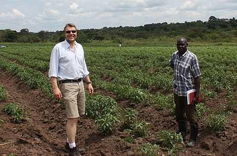 Mashamba Uganda hot pepper crop inspection by international produce buyer and local farmer to ensure export quality standards.