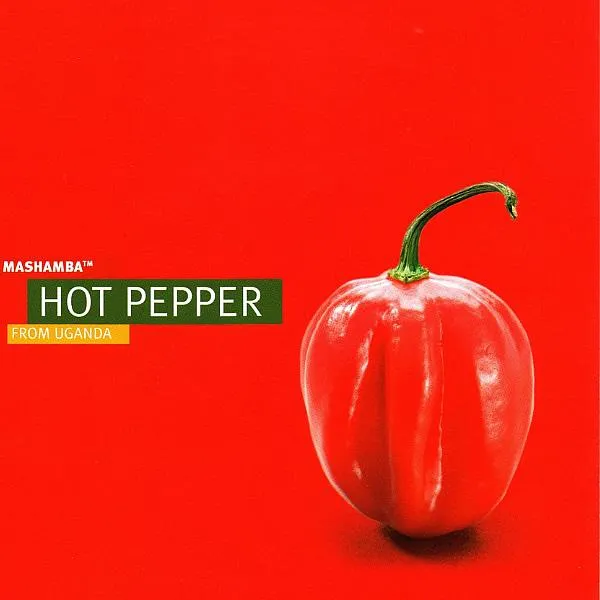 Mashamba's branded hot pepper on a bold red background, representing premium Ugandan produce prepared for international airfreight export.