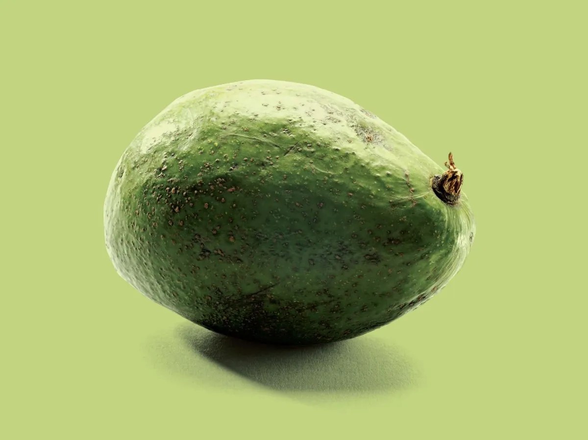 Illustration of a fresh green avocado representing Mashamba Uganda’s speciality export crops such as white African eggplant, cocoyam, and peanuts, packed to preserve quality.