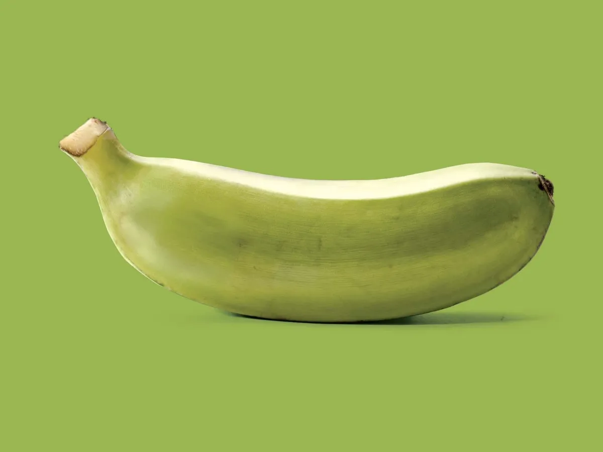 Ugandan matoke green bananas – hand-picked, export-graded, and air-freighted from Entebbe for reliable wholesale supply to UK, EU, and Gulf markets.