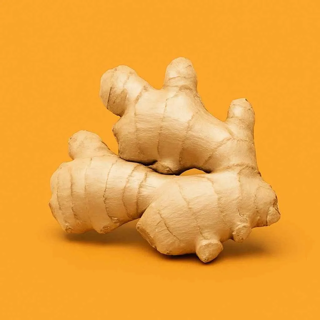 Ugandan fresh ginger root – aromatic, export-grade rhizomes, cold-chain handled and shipped to wholesale spice processors and produce importers worldwide.