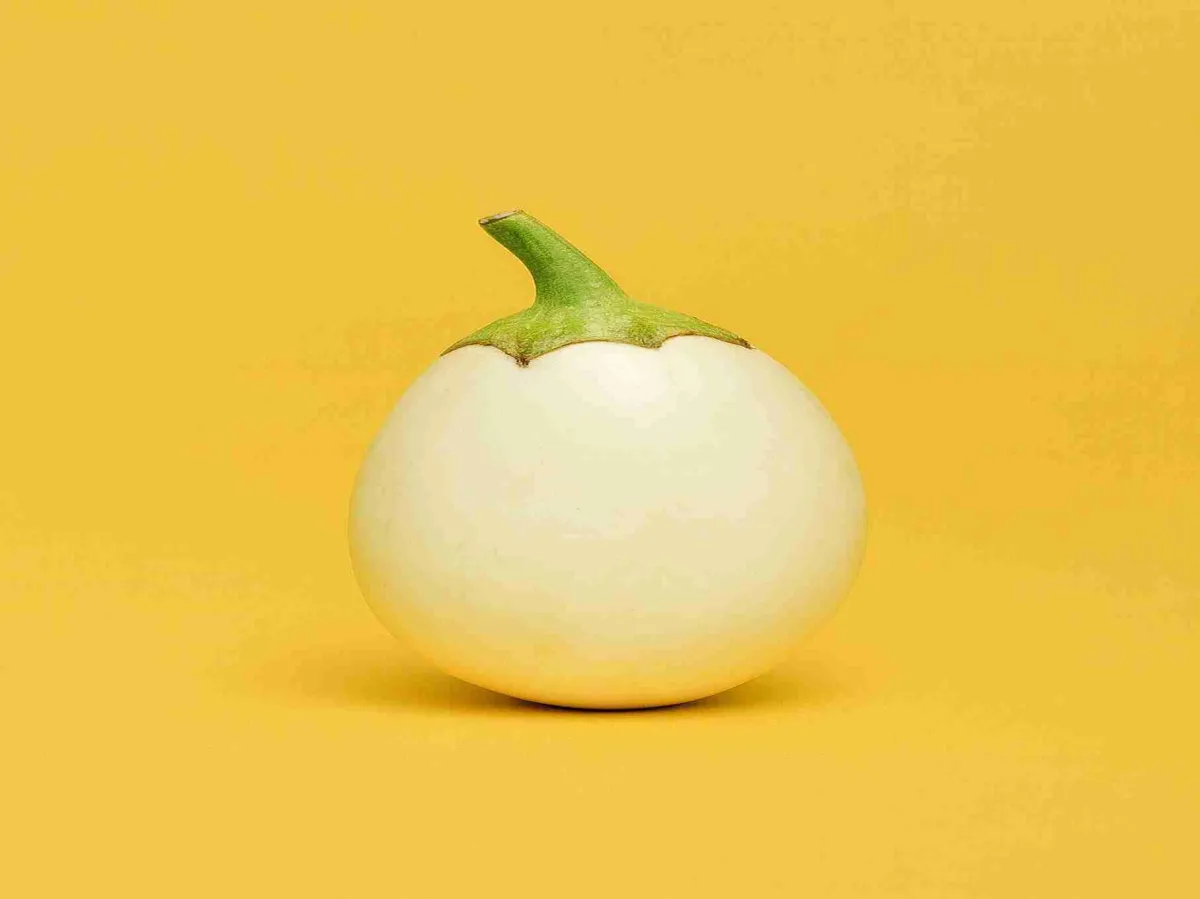 Ugandan white African eggplant – smooth-skinned, firm-textured export variety, air-freighted fresh for wholesale buyers in Europe, Gulf, and Africa.