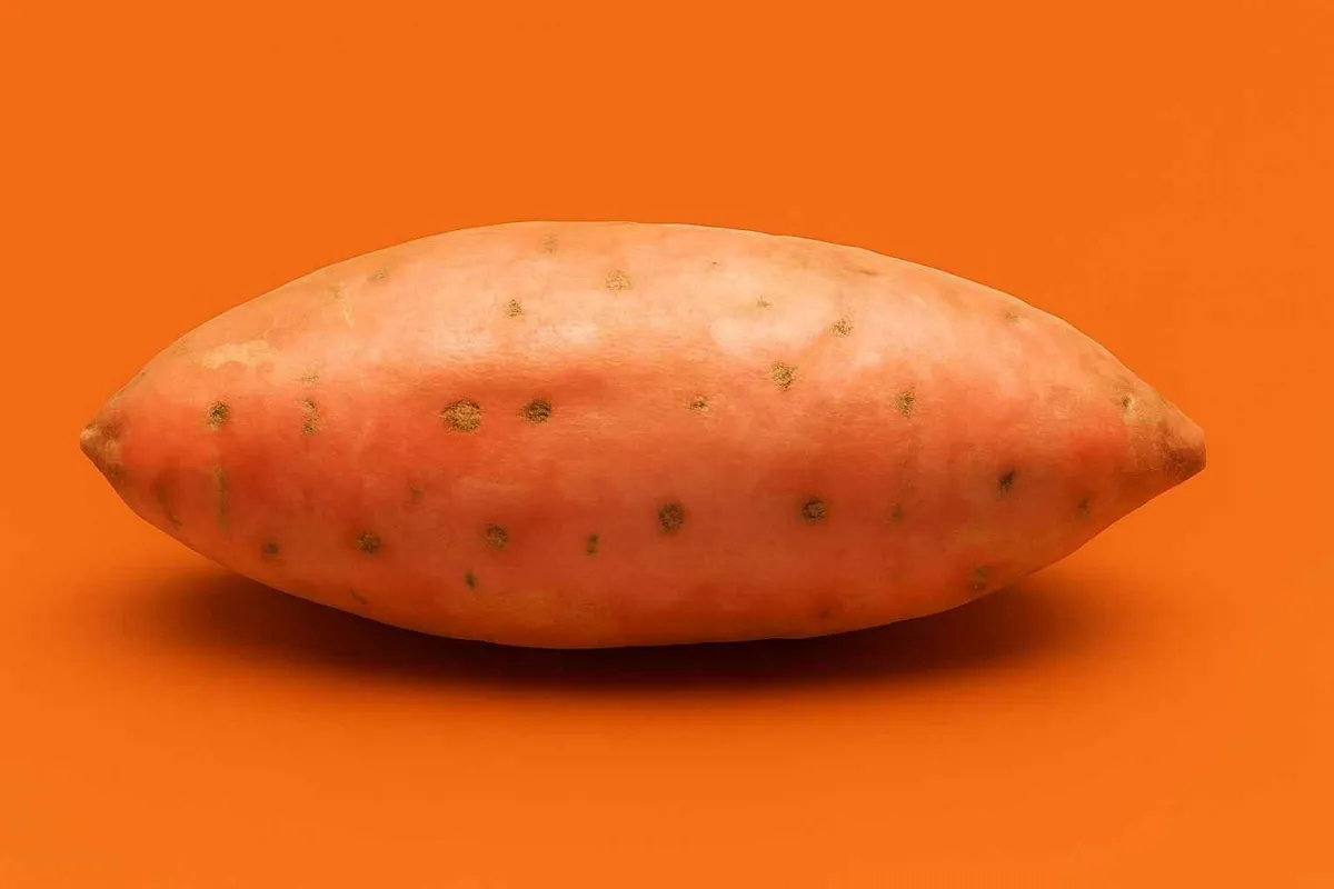 Ugandan sweet potatoes – export-certified roots with natural sweetness, cold-chain handled and air-freighted for wholesale buyers in UK, EU, and Gulf.