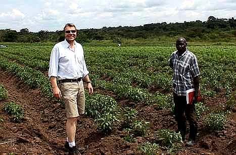 Mashamba Uganda hot pepper crop inspection by the managing director and local farmer to ensure export quality standards.