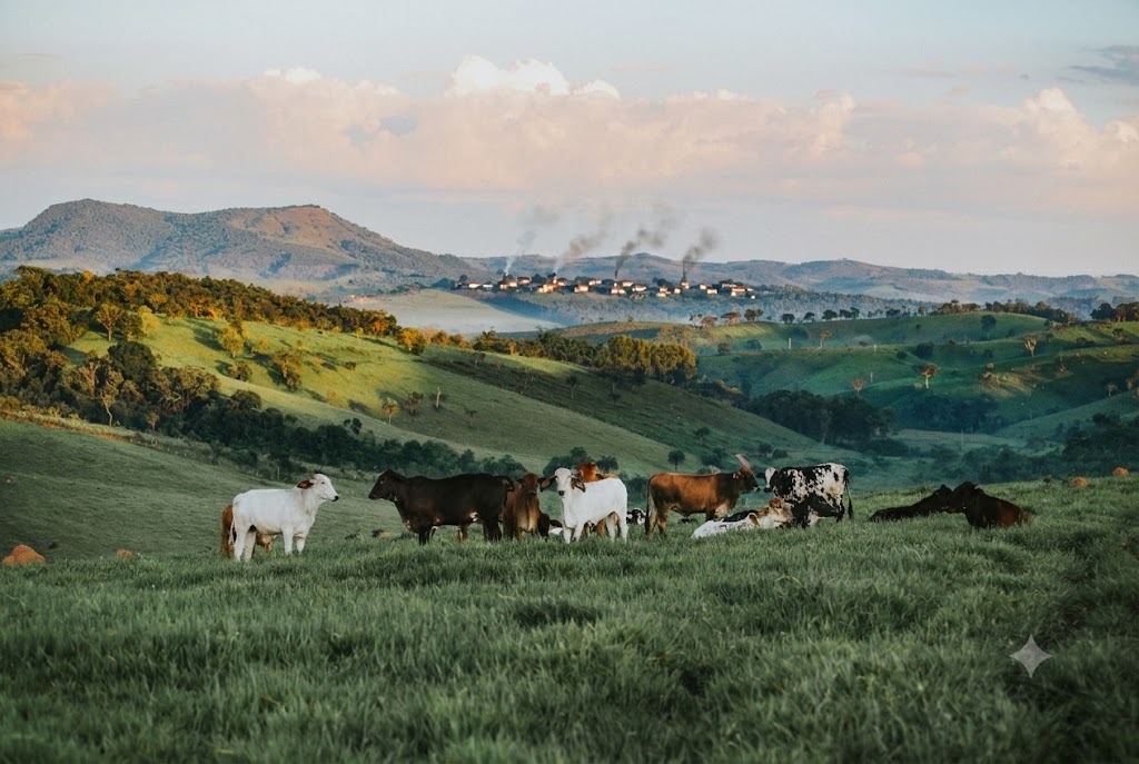 The Healthiest Beef Isn't in a Grocery Store Case