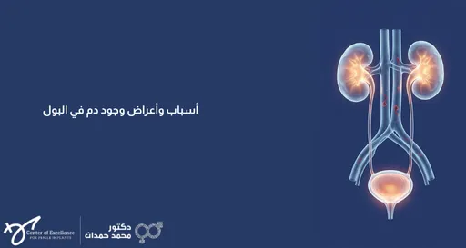 أسباب وأعراض وجود دم في البول، رسم توضيحي للجهاز البولي والكليتين والمثانة، شرح دكتور محمد صمدات.