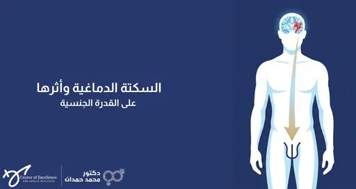 السكتة الدماغية وأثرها على القدرة الجنسية، رسم توضيحي لجسم رجل مع إبراز الدماغ والمسار العصبي إلى الأعضاء التناسلية، شرح دكتور محمد صمدات.