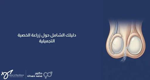 دليلك الشامل حول زراعة الخصية التجميلية: رسم توضيحي للخصيتين مع نص يوضح العملية، شرح دكتور محمد صمدات.