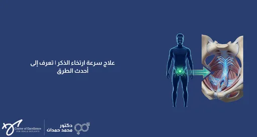 علاج سرعة ارتفاع الذكر: تعرف إلى أحدث الطرق، رسم توضيحي لجسم ذكراني مع إبراز منطقة الحوض، شرح دكتور محمد صمدات.