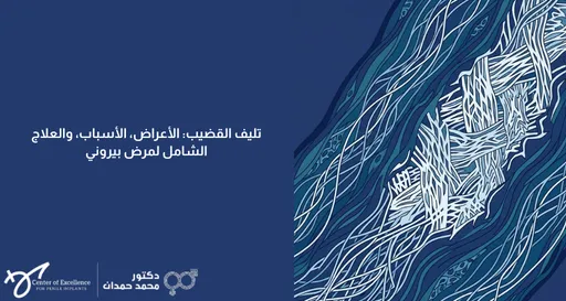 تليف القضيب: الأعراض، الأسباب، والعلاج الشامل لمرض بيروني، رسم توضيحي للأنسجة الداخلية للجهاز التناسلي، شرح دكتور محمد صمدات.