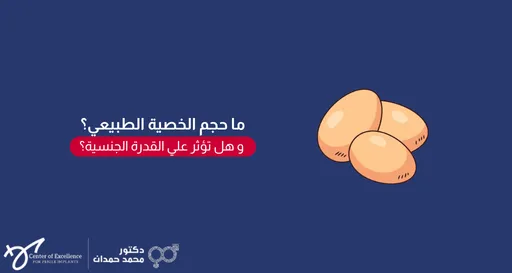 ما حجم الخصية الطبيعي؟ و هل تؤثر علي القدرة الجنسية؟ – د. محمد حمدان