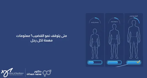 متى يتوقف نمو القضيب؟ معلومات مهمة لكل رجل، رسم توضيحي لمراحل نمو الذكور من الطفولة حتى البلوغ، شرح دكتور محمد صمدات.
