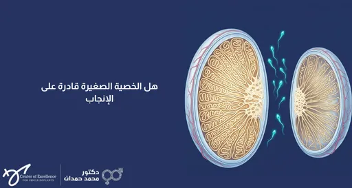 تصميم إعلاني توعوي ذو خلفية زرقاء داكنة. يحتوي النصف الأيمن على رسم طبي وتشريحي مقارن، يظهر مجسماً لخصية بحجم طبيعي ومجسماً آخر لخصية ذات حجم أصغر، وتسبح بينهما رسومات لحيوانات منوية مضيئة باللون الأخضر الفسفوري. في النصف الأيسر، يوجد سؤال مكتوب باللون الأبيض: "هل الخصية الصغيرة قادرة على الإنجاب". وفي الزاوية السفلية اليسرى يظهر شعار "مركز التميز لزراعة الدعامات" وبجانبه اسم "دكتور محمد حمدان" مع شعاره الطبي.