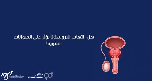 صورة بخلفية زرقاء داكنة تحتوي على رسم توضيحي طبي للجهاز البولي والتناسلي الذكري يظهر البروستاتا والمثانة والخصية، وبجانبه نص باللغة العربية يسأل: "هل التهاب البروستاتا يؤثر على الحيوانات المنوية؟"، مع شعار عيادة الدكتور محمد حمدان في الأسفل.
