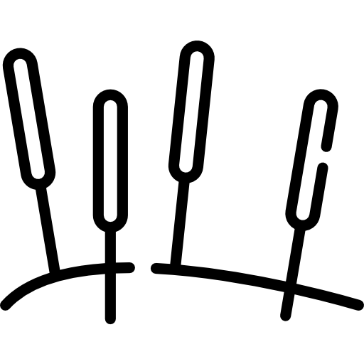 Acupuncture needles icon depicting holistic pet pain relief and mobility therapy