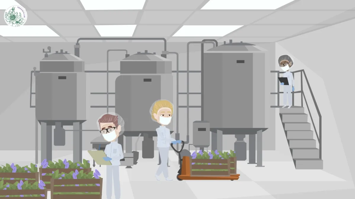 Extrait d'un motion design Vyond représentant une usine de fabrication d'huile d'essentielle