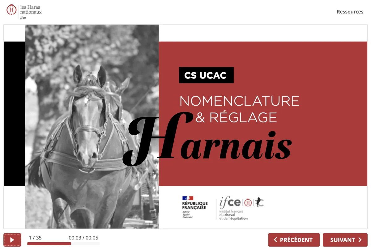 Couverture d'un module sur les Harnais du cheval