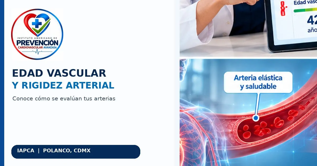 Edad vascular y rigidez arterial: qué significan y cómo se evalúan