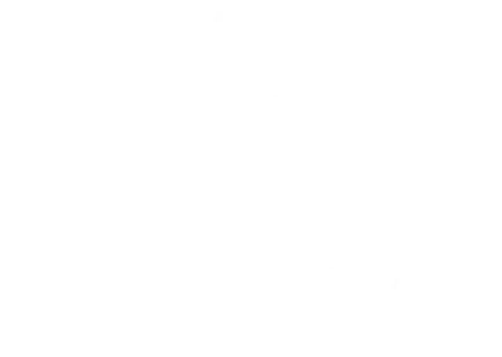 Asservestors Capital Group