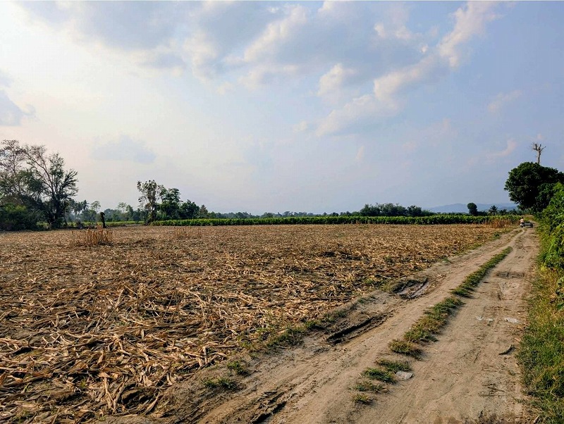 Residential lot for sale in Nueva Vizcaya
