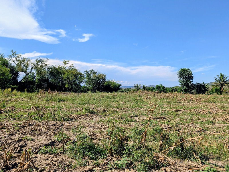 Residential lot for sale in Nueva Vizcaya