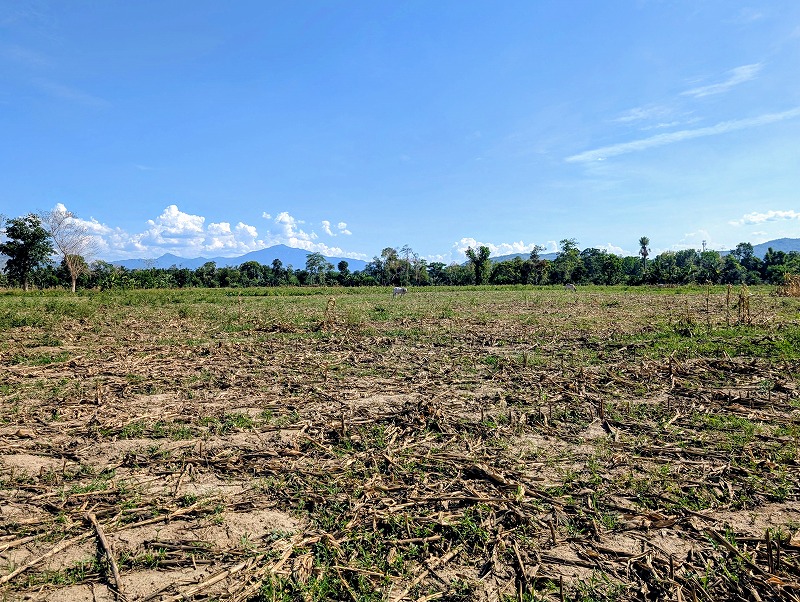 Residential lot for sale in Nueva Vizcaya