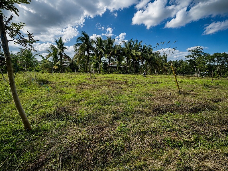 Residential lot for sale in Nueva Vizcaya
