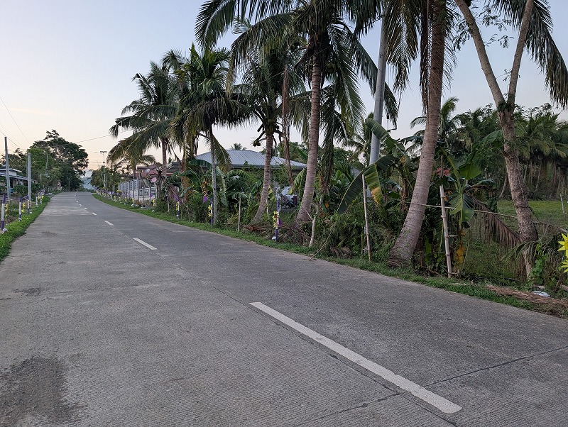 Residential lot for sale in Nueva Vizcaya