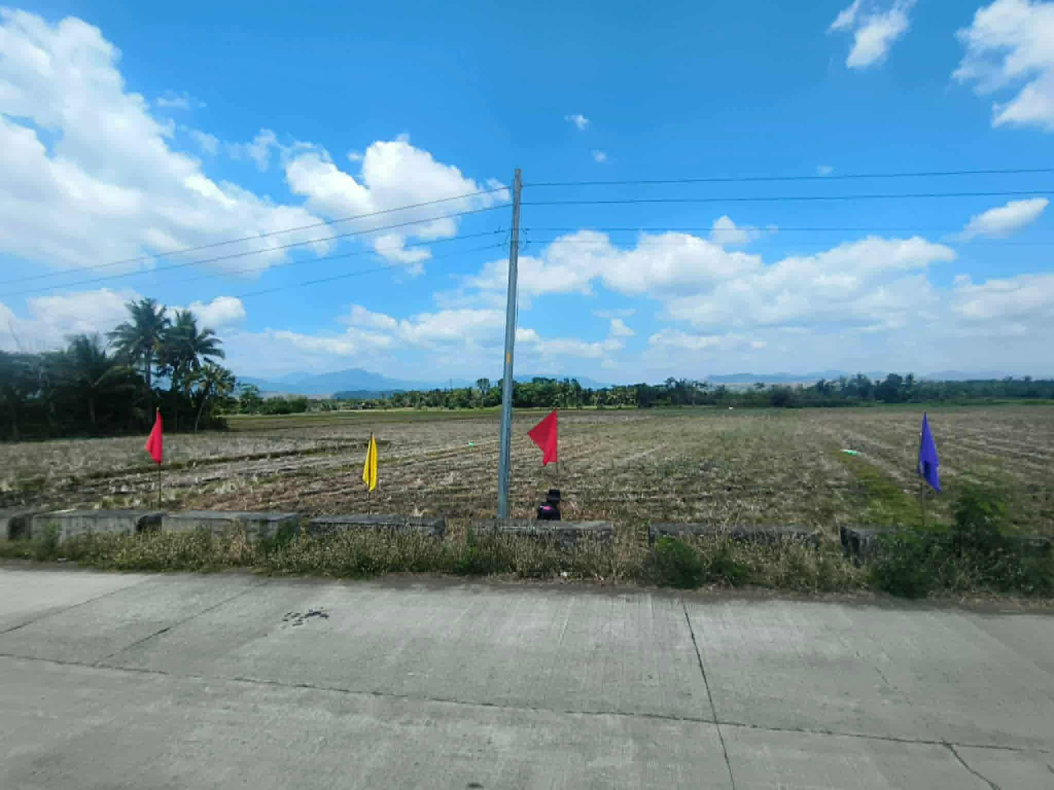 Residential lot for sale in Nueva Vizcaya