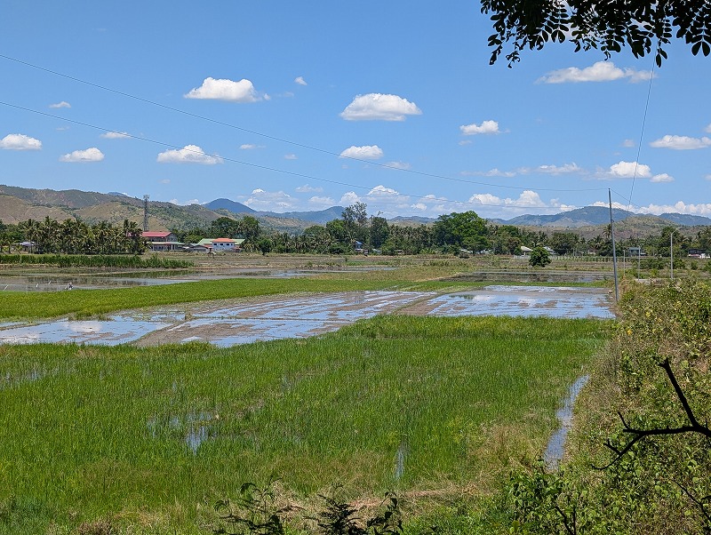 Residential lot for sale in Nueva Vizcaya