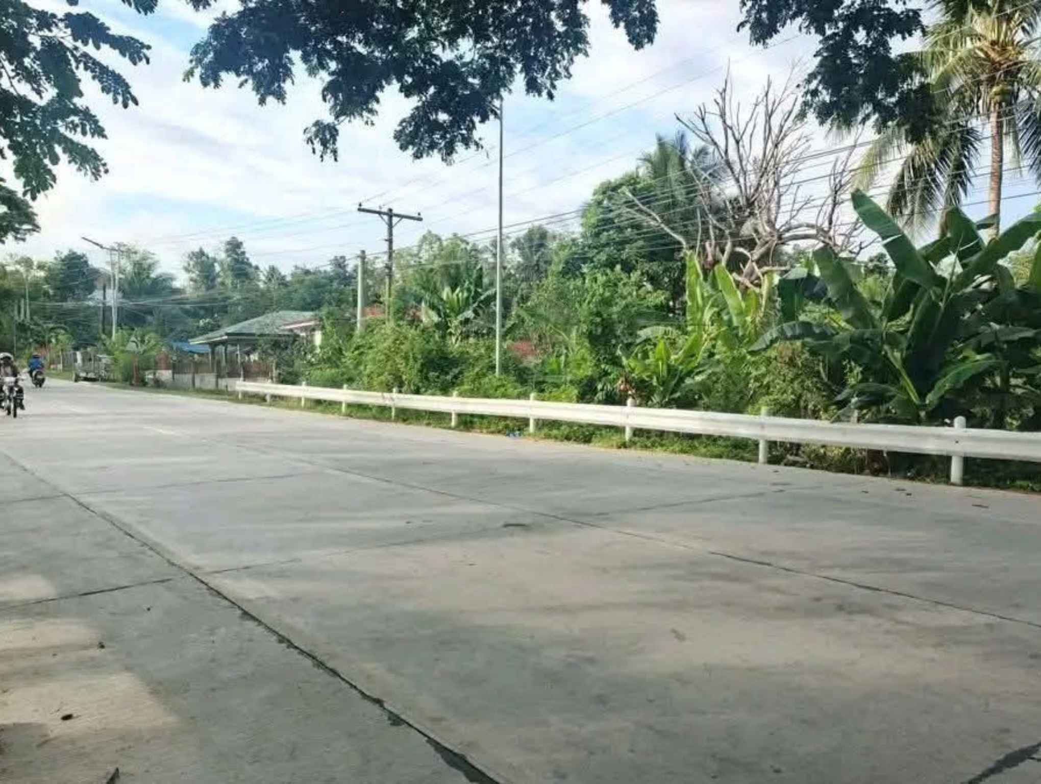 Commercial lot for sale in Nueva Vizcaya