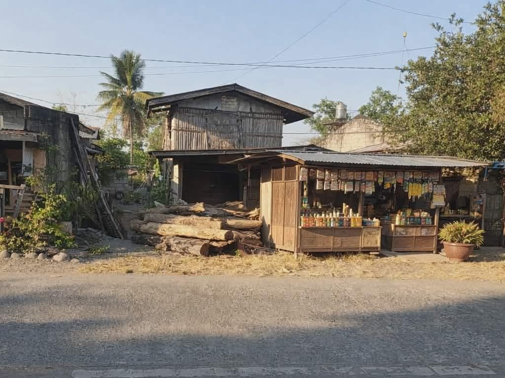 Commercial lot for sale in Nueva Vizcaya