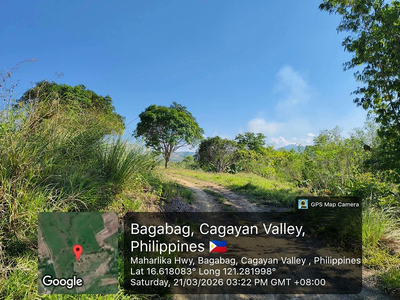 Farm lot for sale in Nueva Vizcaya
