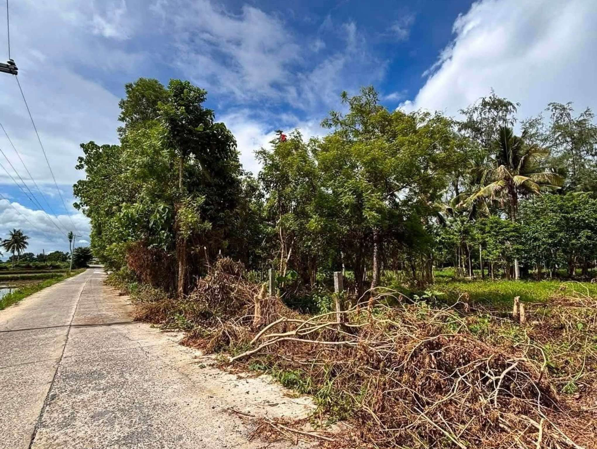 Residential lot for sale in Nueva Vizcaya