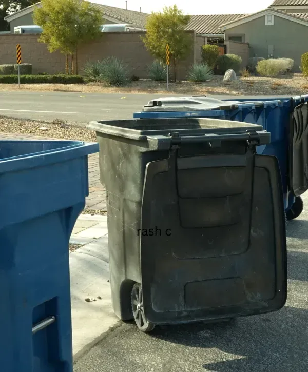 Outdoor garbage bins lined up on a residential street