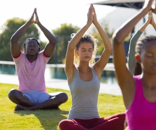 Guided Meditation Ahpricus Mind Garden
