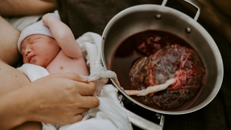 A gentle image capturing holistic preparation and care routines for early parenthood.