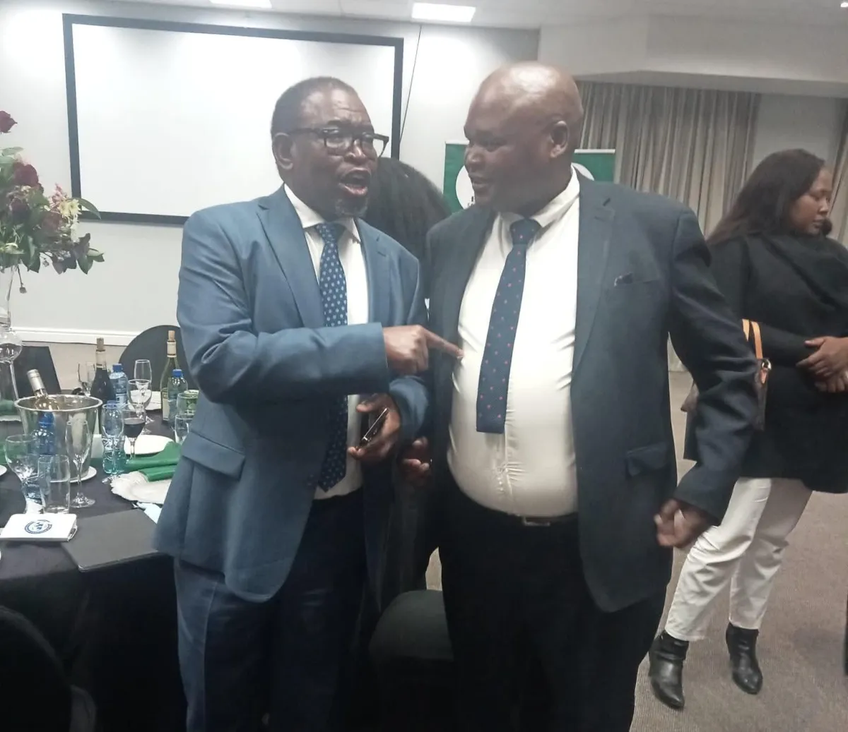 person holding white and gray stone