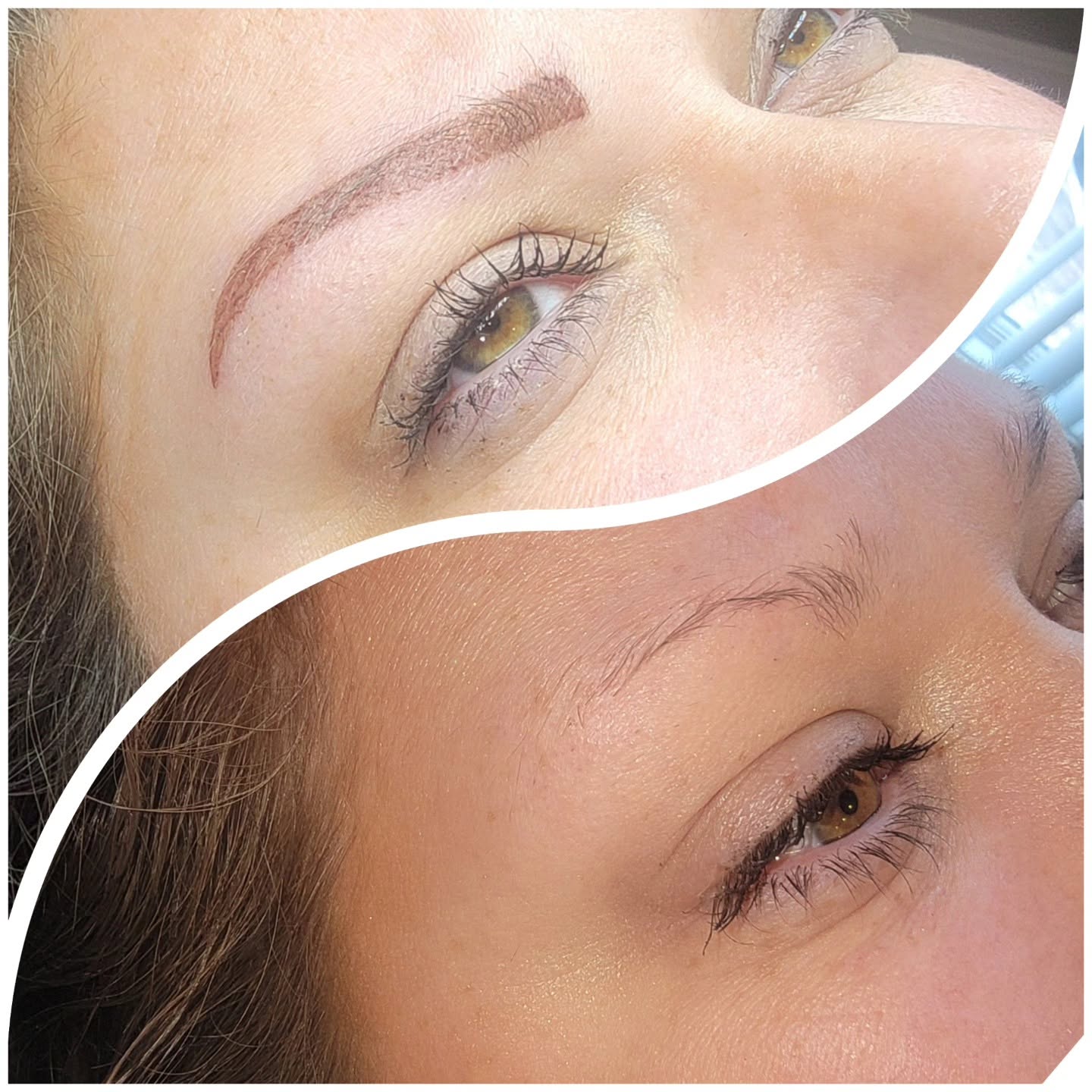 Powder Brows vs Combination Brows