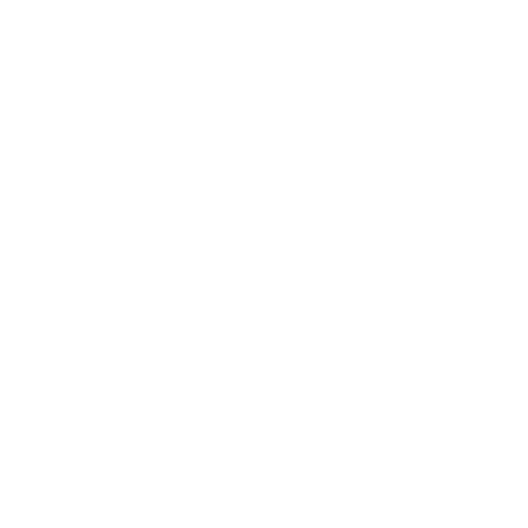 Platinum Motorworks