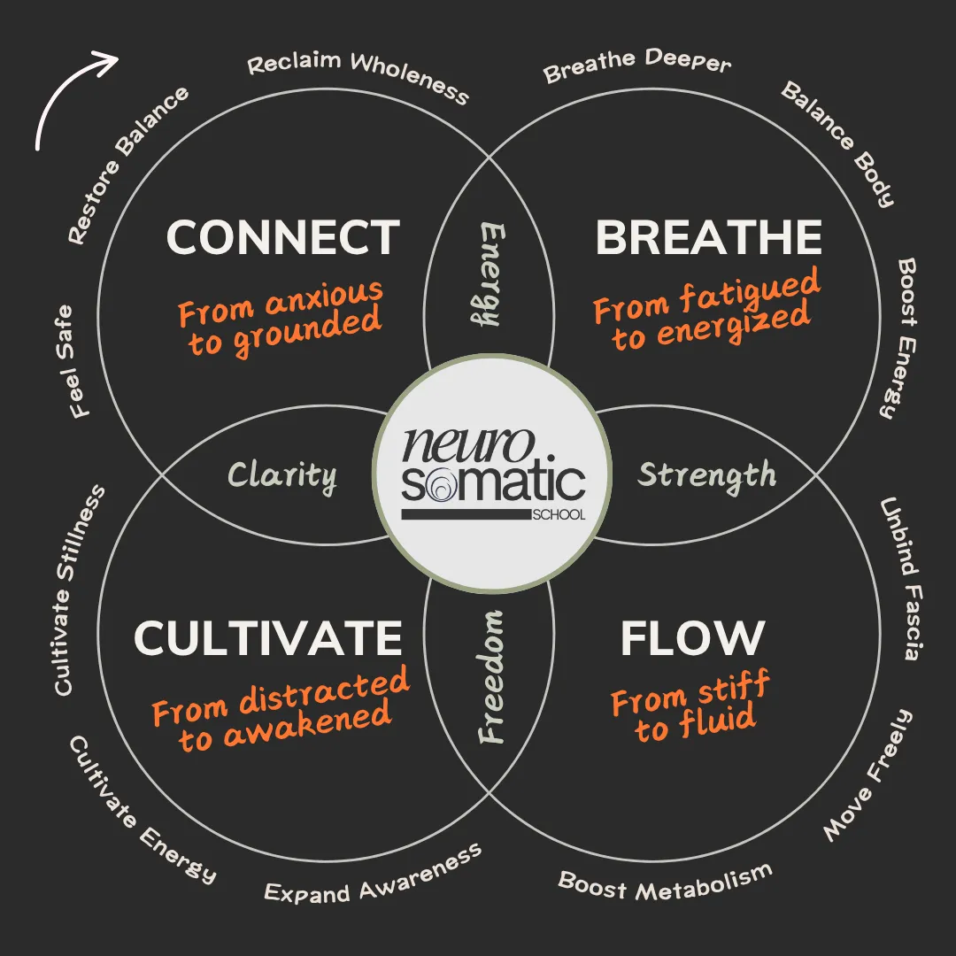 How to exercise with chronic pain - Movement Monk