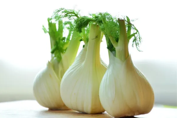 7 Food Scraps to Regrow and Repurpose