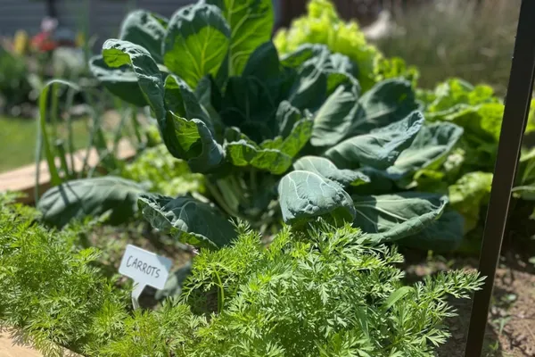 3 Reasons Why Fresh is Best