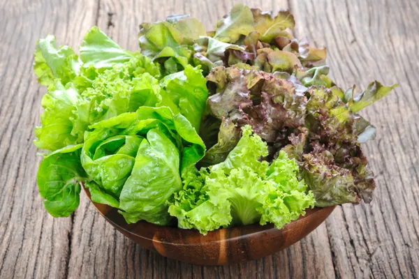 Harvesting in the Cool Season