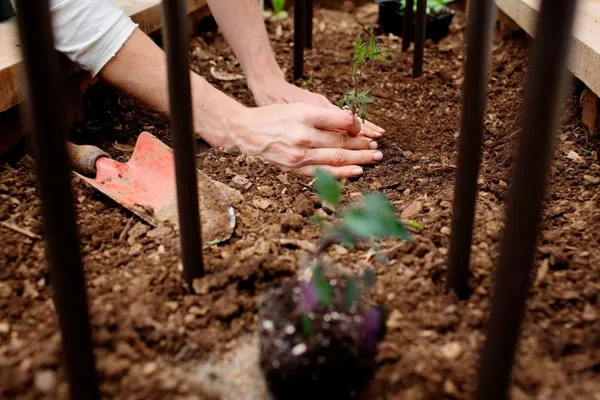 Composting: Your Complete Guide in Three Steps